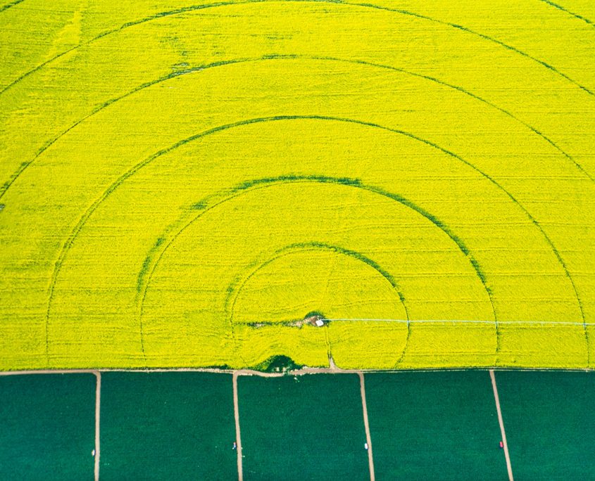 Aerial,Image,Of,Farms,And,Fields,,Alberta,,Canada
