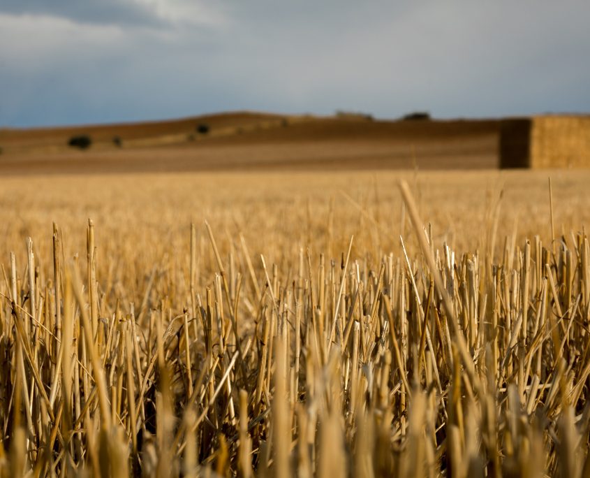 Outdoor,Nature,In,Avila,,Spain.,Hay,Blocks,And,People