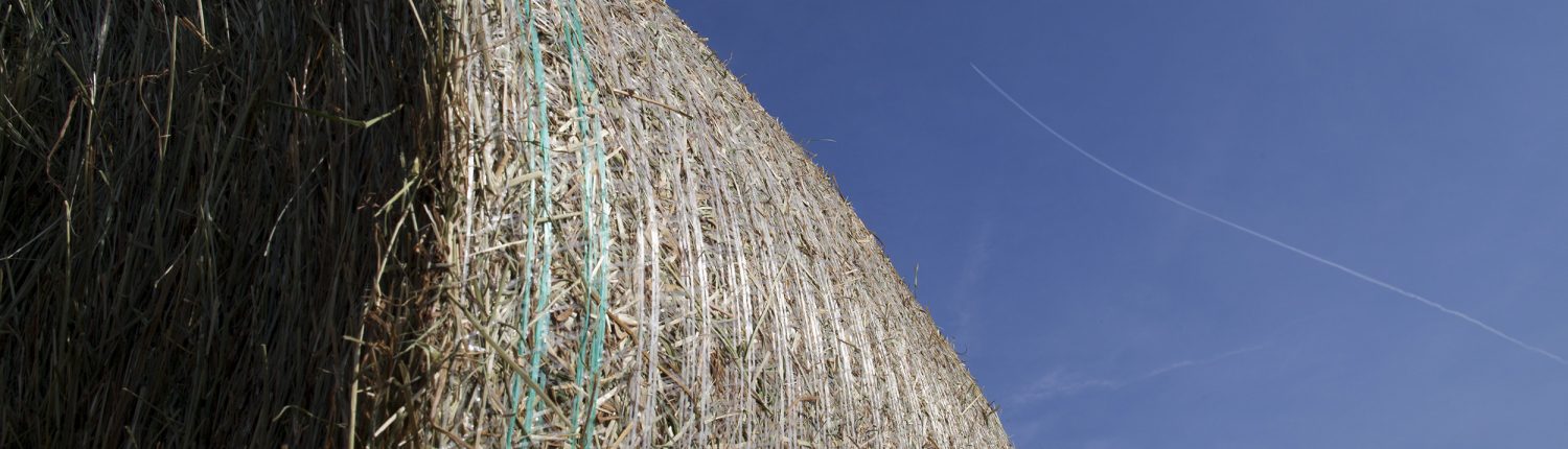 netwraps-technology | Agri Novatex