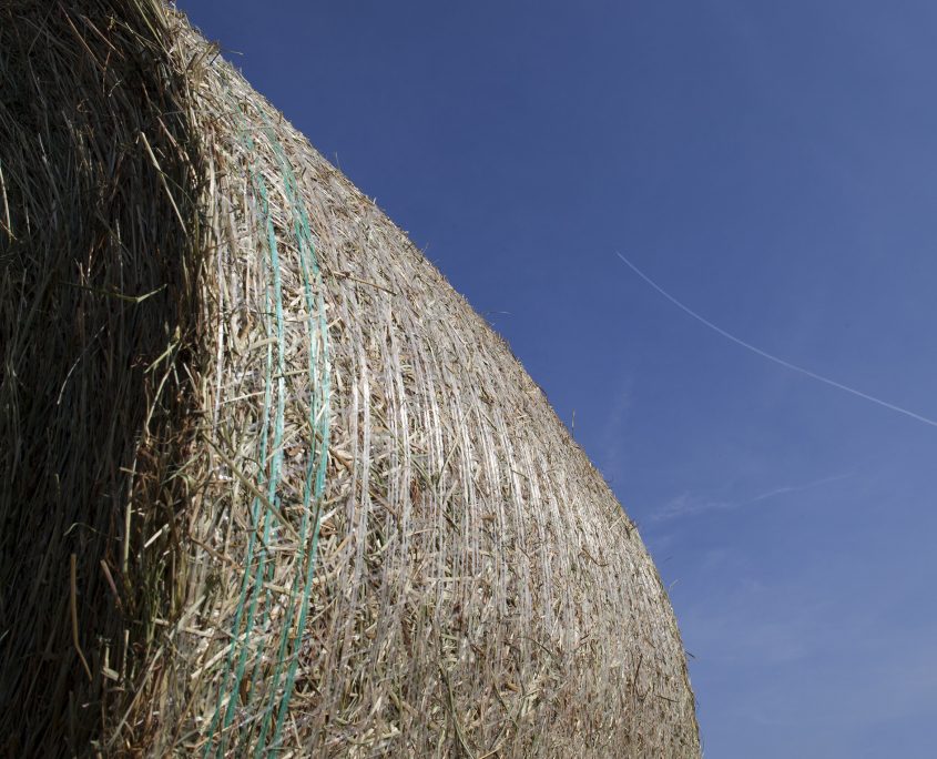 netwraps-technology | Agri Novatex