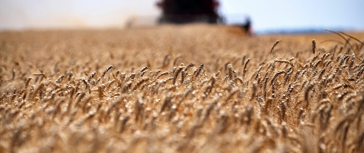 shutterstock_393185296