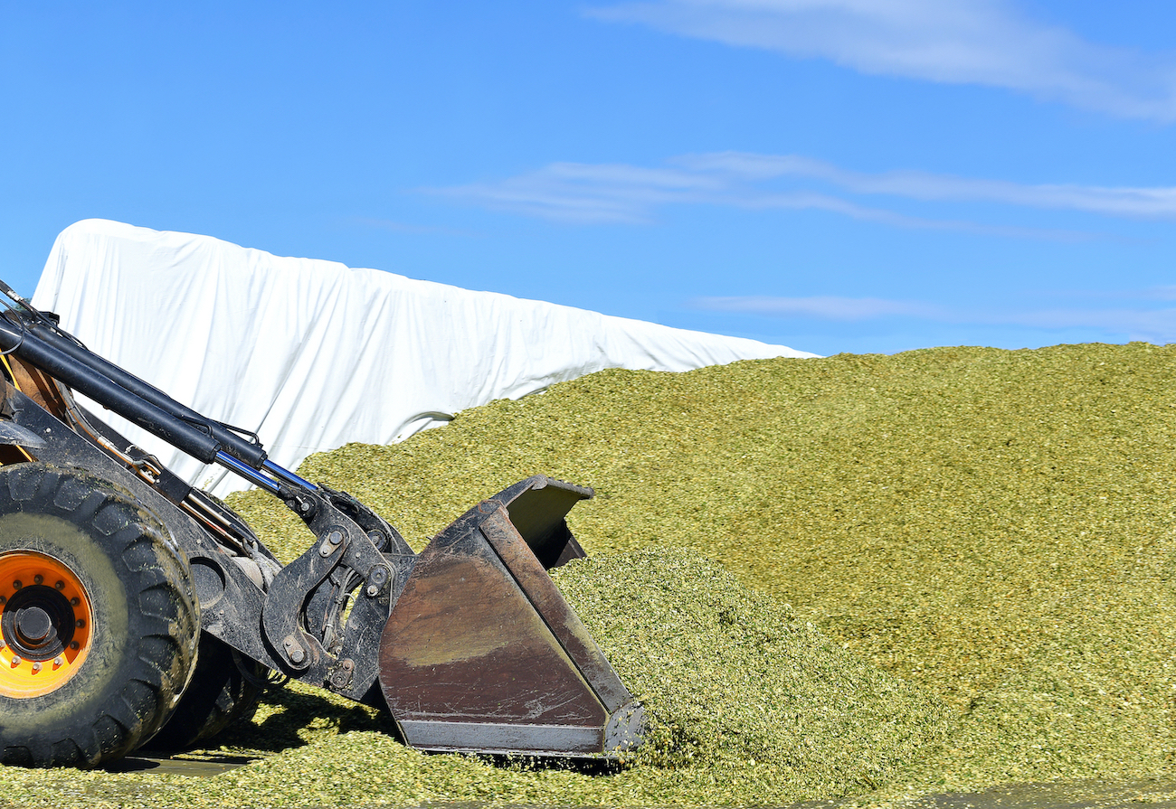 shutterstock_773250409