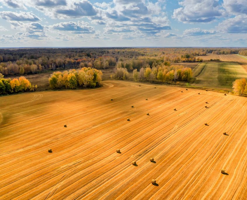 Aerial,View,Of,Crop,Fields.,Aerial,Flight,Over,Fields,With