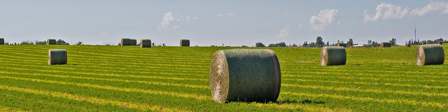 Committed Ag Bales on the field_1920x377