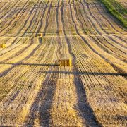 Committed AG | DON Medium Twine